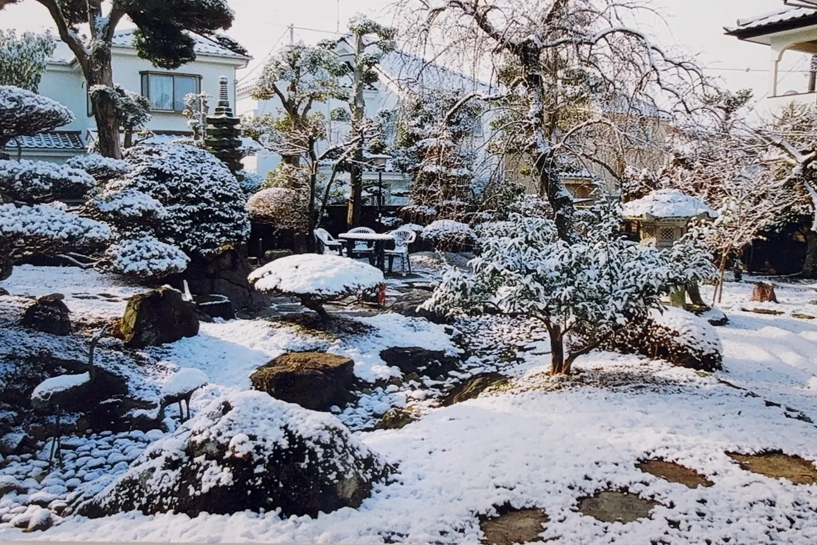 雪庭の庭